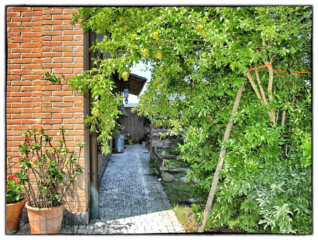 La Corte Del Macero Casa de hóspedes Castelfranco Emilia Exterior foto