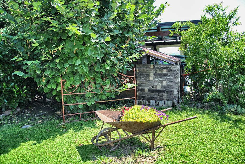 La Corte Del Macero Casa de hóspedes Castelfranco Emilia Exterior foto